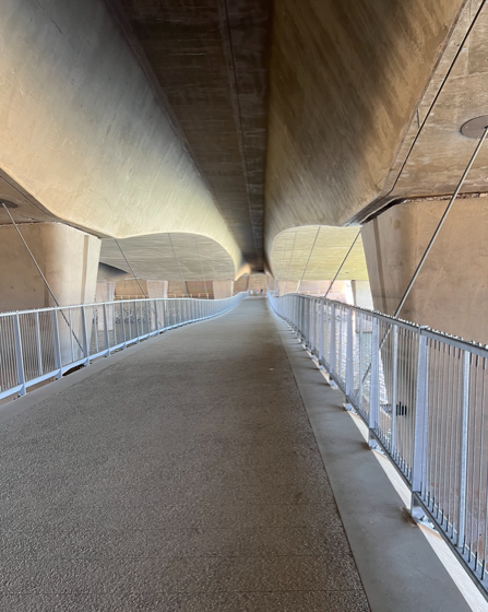 beautiful new footbridge across the lagoon